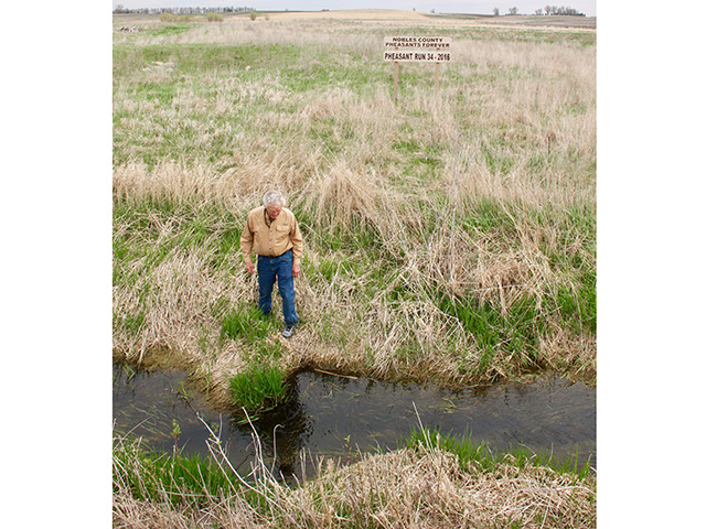 Les Johnson walks among native grasses next to a burn conducted to regenerate grasses. (Progressive Farmer image by Des Keller)
